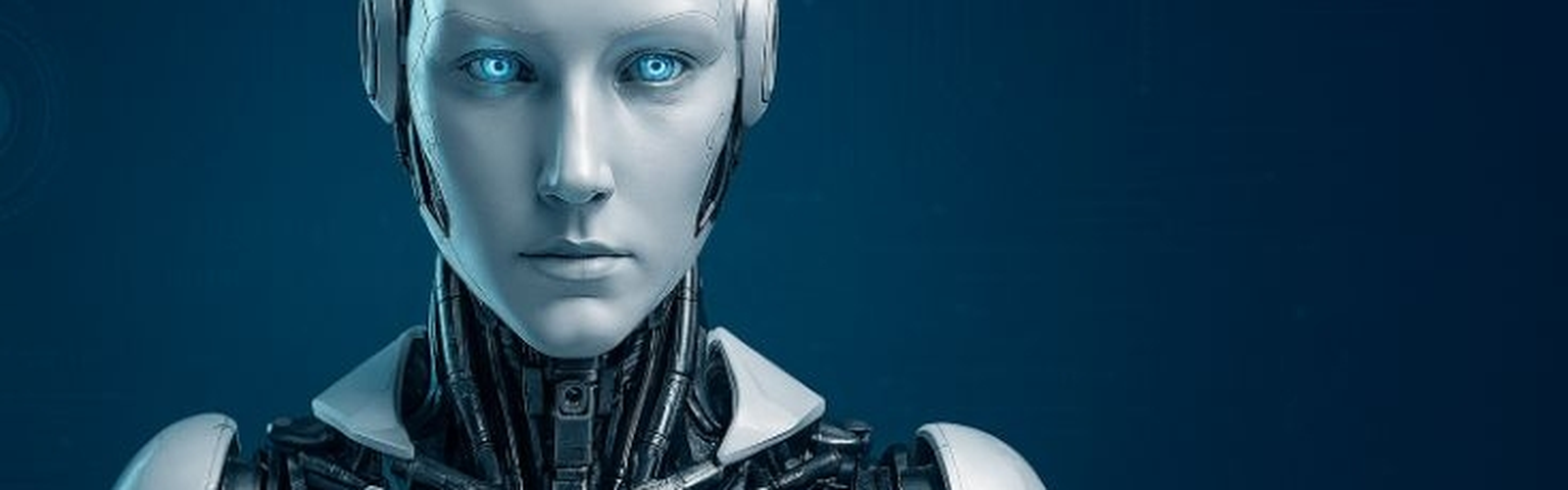 UAENIP-IT-Banner